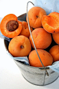 Apricots