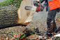锯木头的工人图片素材_家具素材 _T2018921 #率叶插件，让花瓣网更好用#