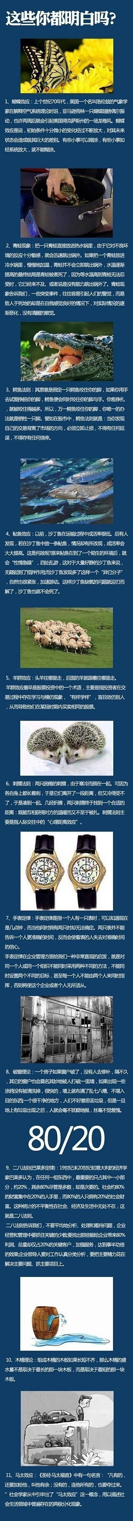 【不论你学什么专业，都该了解这些名词】蝴...