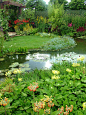 watergarden: 