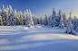 冬天雪景背景素材 图片素材下载-自然风景-自然景观-图片素材 - 集图网 www.jitu5.com