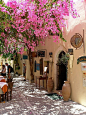 Blossoms, Rethymno, Greece