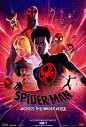 Extra Large Movie Poster Image for Spider-Man: Across the Spider-Verse (#5 of 5)