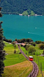 
这里有是瑞士人引以为傲的山河美景琉森湖。 