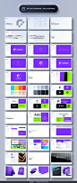 双配色全套品牌VI规范指导手册配色排版应用设计ps版式模板素材