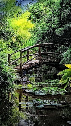 妖妖璃采集到风景