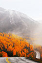 洛矶山脉的秋天，科罗拉多州
Rocky Mountain Autumn, Colorado