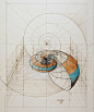 委内瑞拉艺术家 Rafael Araujo 真的做到了，而且丝毫没有使用科技产品辅助，单靠铅笔、尺、量角器就画出了大自然中的奥妙数学：蝴蝶起飞的方式，贝壳的螺旋生长比例，许多作品都带有一种达文西手稿的风味，在这样大量仰赖电脑计算的年代，只靠双手绘出的分解稿格外令人感到珍贵。