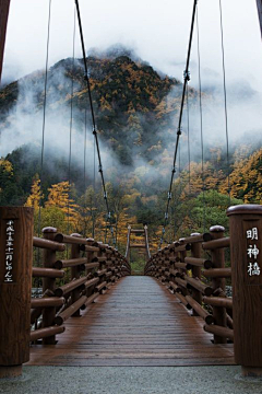 乌秧采集到场景-东方