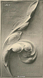 “阿堪萨斯”（acanthus）的花纹，在西方装饰艺术中常常用到一个图案，带着叶片的形状，卷曲而柔美的线条，至今仍是众多艺术家的宠儿。 ​ ​​​​