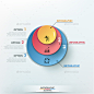 Infographic Options Template  - Infographics 