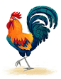 “Chickens!” by Kim Smith*   • Blog/Website | (www.kimdraws.tumblr.com)  • Online Store | (www.kimprints.bigcartel.com)   ★ || CHARACTER DESIGN REFERENCES (https://www.facebook.com/CharacterDesignReferences & https://www.pinterest.com/characterdesigh) 