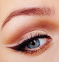 winged liner with nude on top.