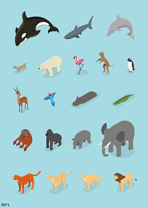 Isometric animals
