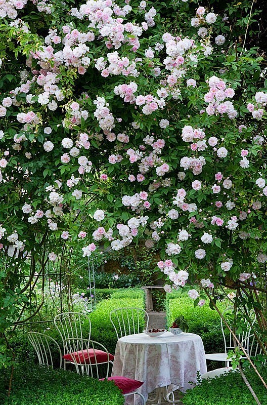 Tea in the garden...