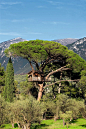 世界最美树屋。La Cabane Perchée 是法国一家专门从事树屋设计的公司，目前他们已经设计制造了超过 220 座树屋，遍布在法国、瑞士、比利时、西班牙以及葡萄牙。每一座都不同，全都是依据地形及树木的结构设计，完全不使用一根钉子，对树木以及大自然表现了最大的尊重与保护。
