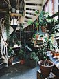 Plant, tree, staircase and interior HD photo by Judah Guttmann (@judahguttmann) on Unsplash : Download this photo in Berlin, Germany by Judah Guttmann (@judahguttmann)