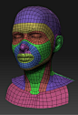 Face Topology: 