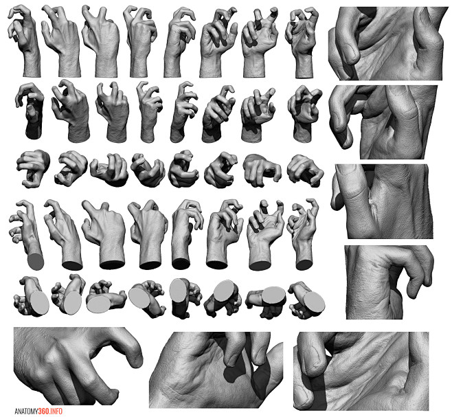 Hand-Sheet-M.jpg (30...