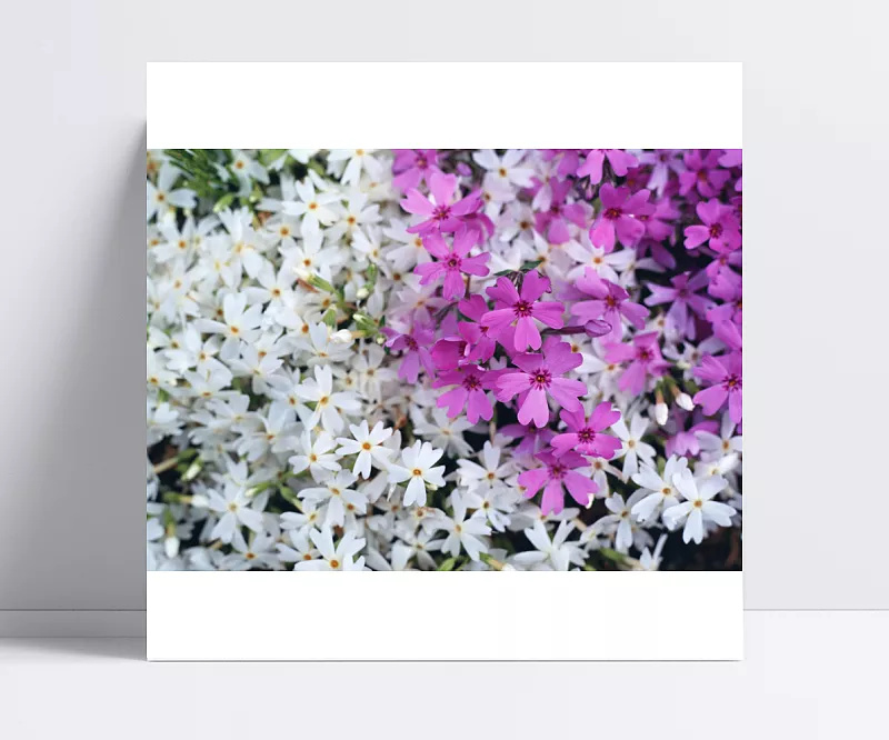 40cf70737e72eaacef3cafa27b39cea607c2db199a18-uOdY9n