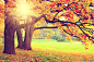 秋季美丽的公园景色高清摄影图片
