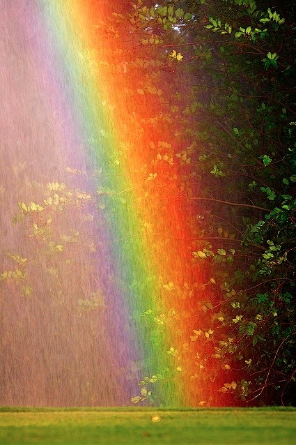 Rainbow | Pictures