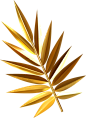 金色棕榈叶 PNG免抠图