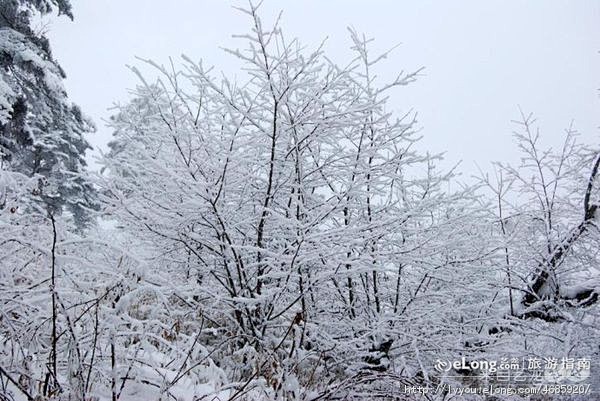 不一样的西岭雪山,宾馆, 皇旗鱼旅游攻略