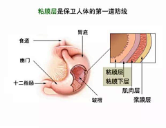 candybear采集到医学