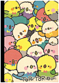 Kamio Tori Tori Rainbow Birds B5 Notebook