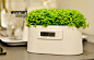 Winmart Design 微电站自电发时钟 植物电能电子座钟 桌面装饰防辐射创意台钟 - 哇噻网