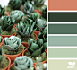 { Paper Succulents } image via: @handmadebysarakim | featured in the Seasonal Atlas | Design Seeds X Archroma