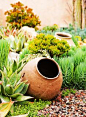 Combine jars and pots among succulents and cacti for an interesting desert garden.