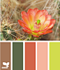 Design Seeds®: For All Who Love Color | Search