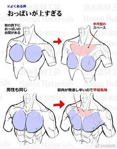 zsworlding采集到全身解构