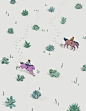 Succulent Desert Rider : Illustration inspired by the peculiar nature and personal obsession with succulent plants