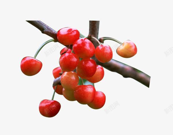 416d0bc0fbb83f890f1f9be76b644aa2e6daf0554638-S2vuhH