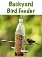 DIY Backyard Bird Feeder! {these would be fun to take camping, too!} #birds #diy