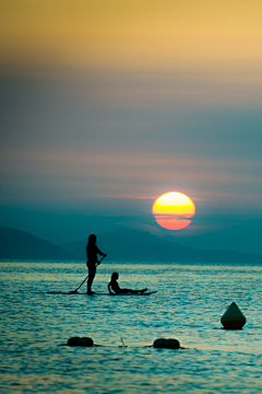 清香阁采集到夕阳