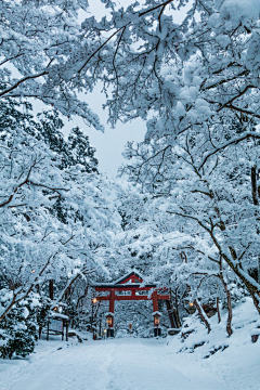 里雾采集到日本