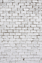 white brick #壁纸#