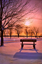  冬季日落，冬天的雪和长凳