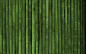 bamboo textures - Wallpaper (#1087313) / Wallbase.cc