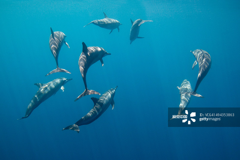 41c0848c81c3c691d463fe9b1feafa9ba5ab72d114228-qUPmNY