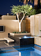 Creative Outdoor Solutions's Design, Pictures, Remodel, Decor and Ideas