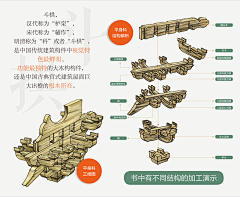 孙小圣爱脱毛采集到线稿及动态