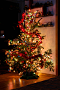 Damian's christmas tree by Dan Tivadar on 500px