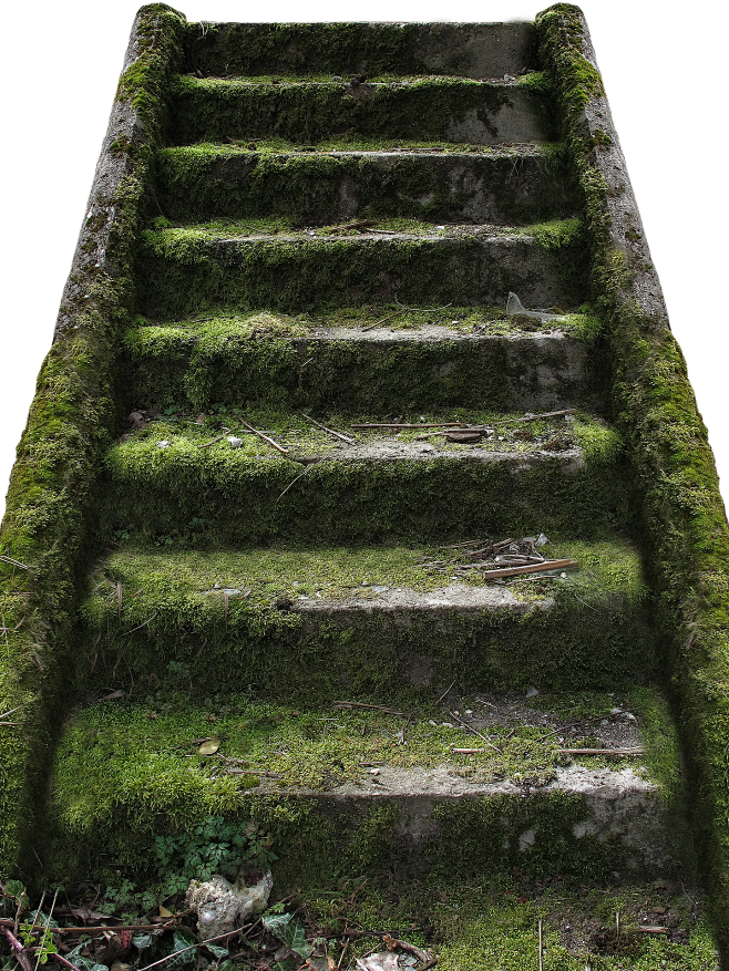 青苔,绿色,石阶,楼梯,下楼,上楼下梯,...