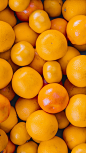 【橙子】美食水果 。60000张优质采集：优秀排版参考 / 摄影美图 / 视觉大片提升审美。@Javen金