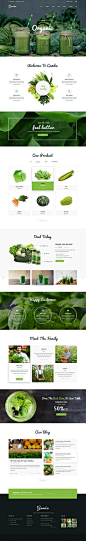 绿色食品类网页设计，很清新的感觉~